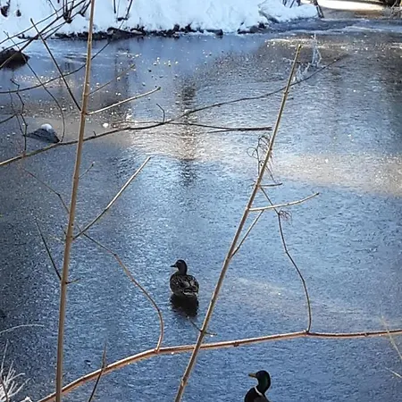 Zakatek Apartamento Sokolowsko