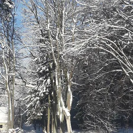 Zakatek Apartamento Sokolowsko
