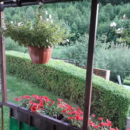 Leśny Zakątek Apartament