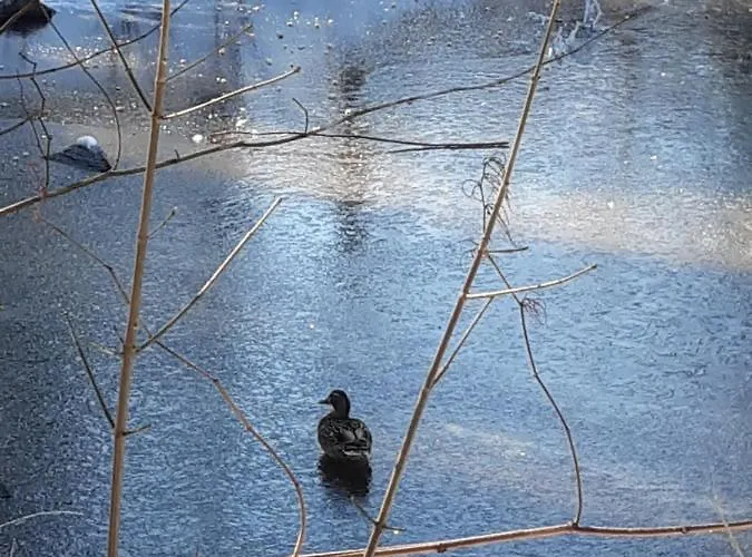 Zakatek アパート Sokołowsko