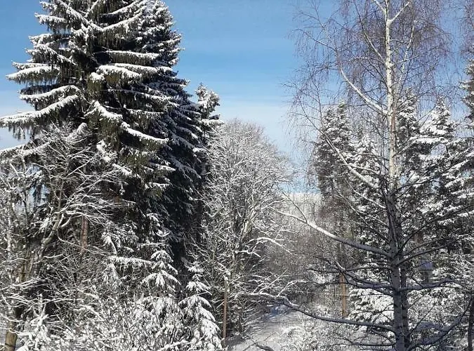 Zakatek Appartement Sokolowsko