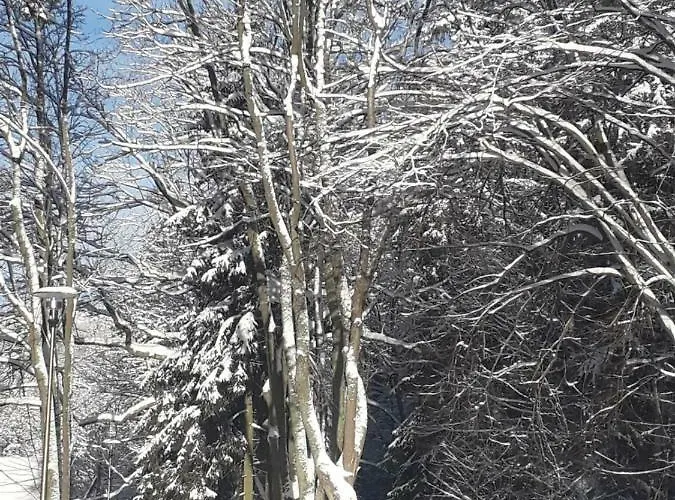 Zakatek アパート Sokołowsko