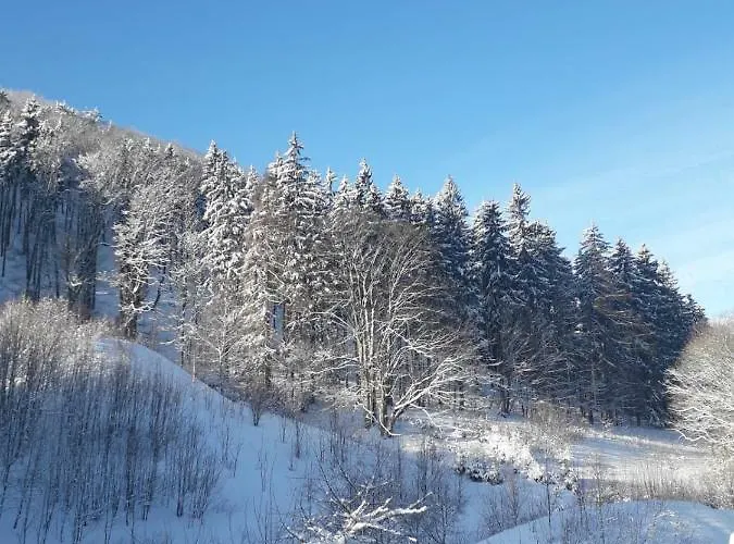 アパート Zakatek